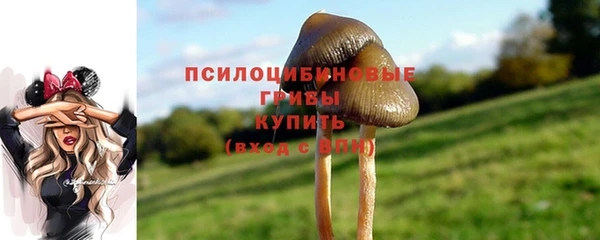 2c-b Вязьма