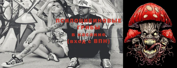 меф Вяземский