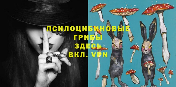 меф Вяземский